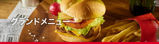 �����ɥ�˥塼